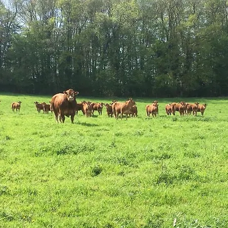 La Roulotte Du Moulin De Ferienhaus *